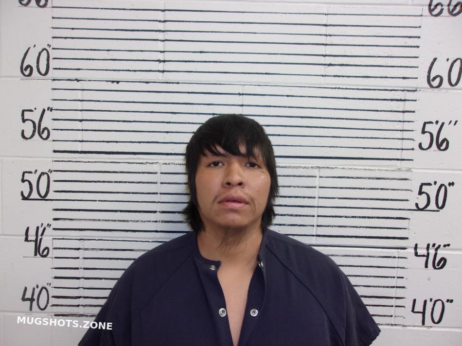APACHE GERONIMO CREE 11/27/2023 Socorro County Mugshots Zone