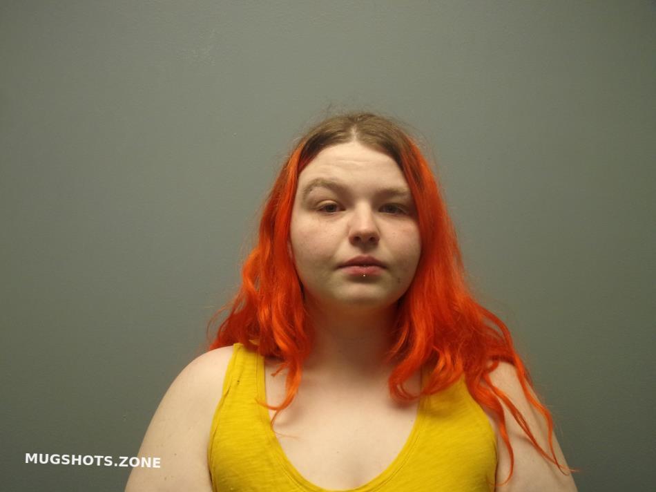 SILCOX JENNIFER NICOLE 04/11/2024 Southwest Regional Jail Mugshots Zone