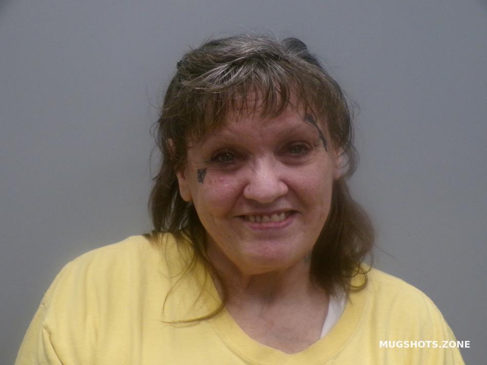 WELSH MICHELLE LYNN 08/08/2024 - Southwest Regional Jail Mugshots Zone