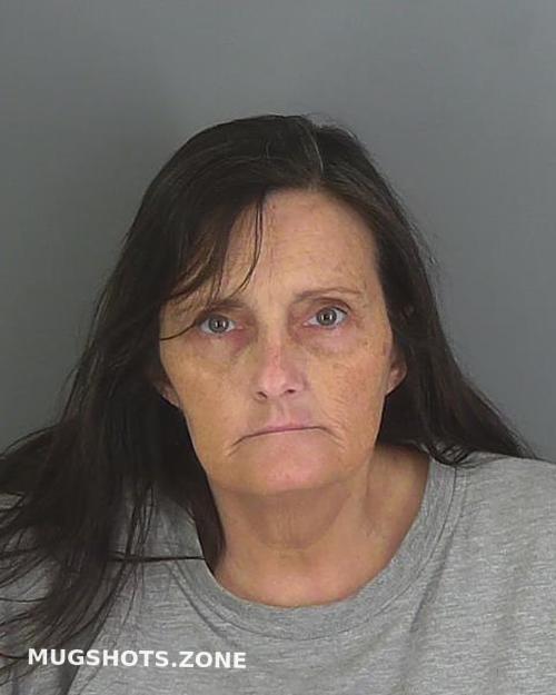 STACEY CHRISTINA MCCLELLAN 02/19/2021 Spartanburg County Mugshots Zone