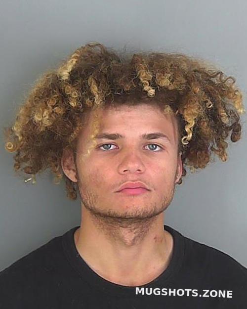 Tyson Timothy Atkins 04162021 Spartanburg County Mugshots Zone