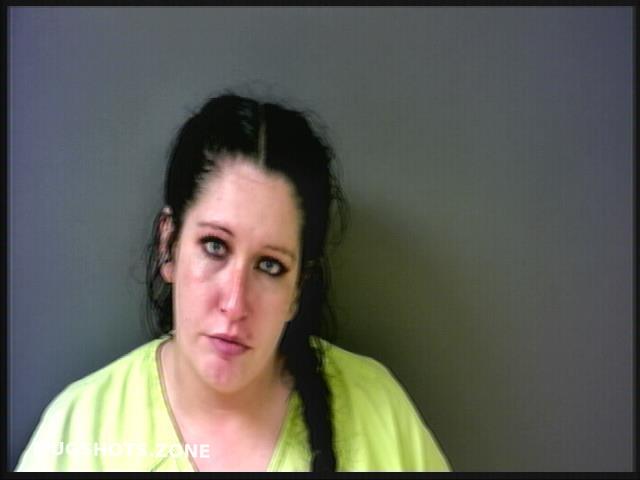 RISNER SUSAN LYNN 01/24/2023 - Starke County Mugshots Zone