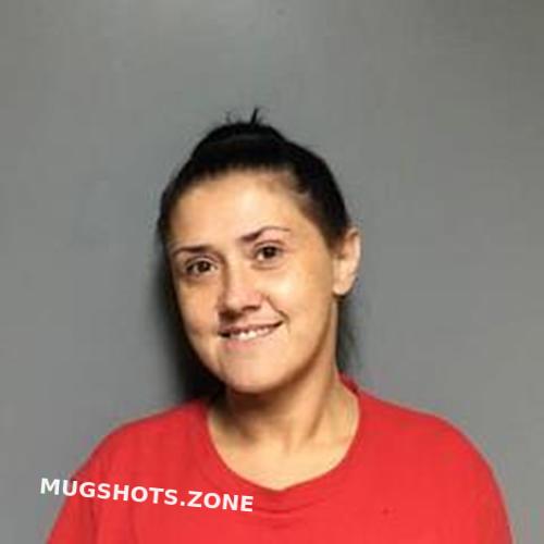 Rebecca Todd 05 20 2022 St Clair County Mugshots Zone