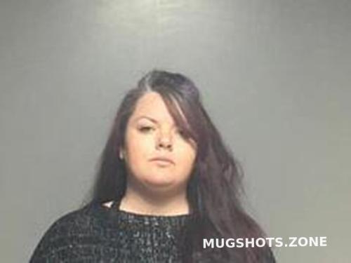 Amanda Harrison 11 23 2022 St Clair County Mugshots Zone