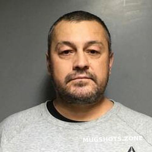 CRISTIAN FOCSA 02/01/2023 St. Clair County Mugshots Zone