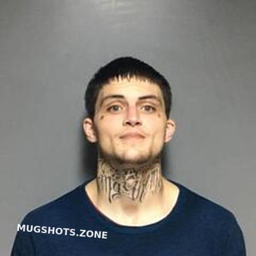 Austin Newsome 06 16 2023 St Clair County Mugshots Zone