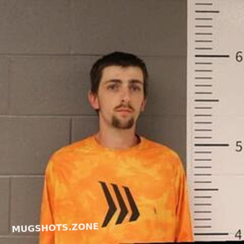 Reese Mcmahon 11 20 2023 St Clair County Mugshots Zone