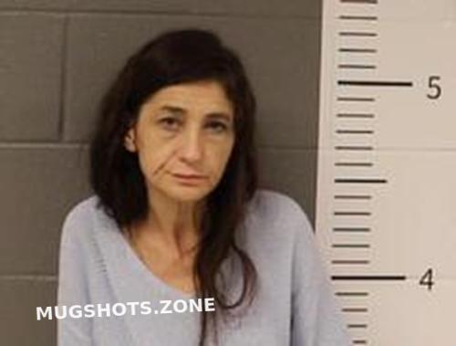 SARAH REED 04/23/2024 - St. Clair County Mugshots Zone