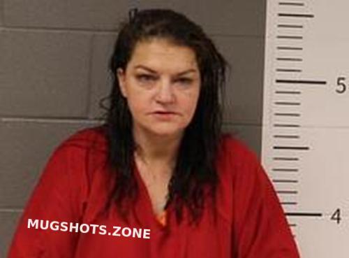 HEATHER NICHOLS 02/12/2025 - St. Clair County Mugshots Zone