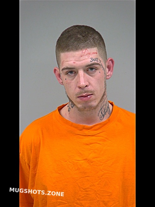 FRANSEN ANDRE MICHAEL 03/05/2022 Stephenson County Mugshots Zone