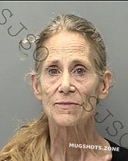 TERRI ANN 08/26/2022 St. Johns County Mugshots Zone
