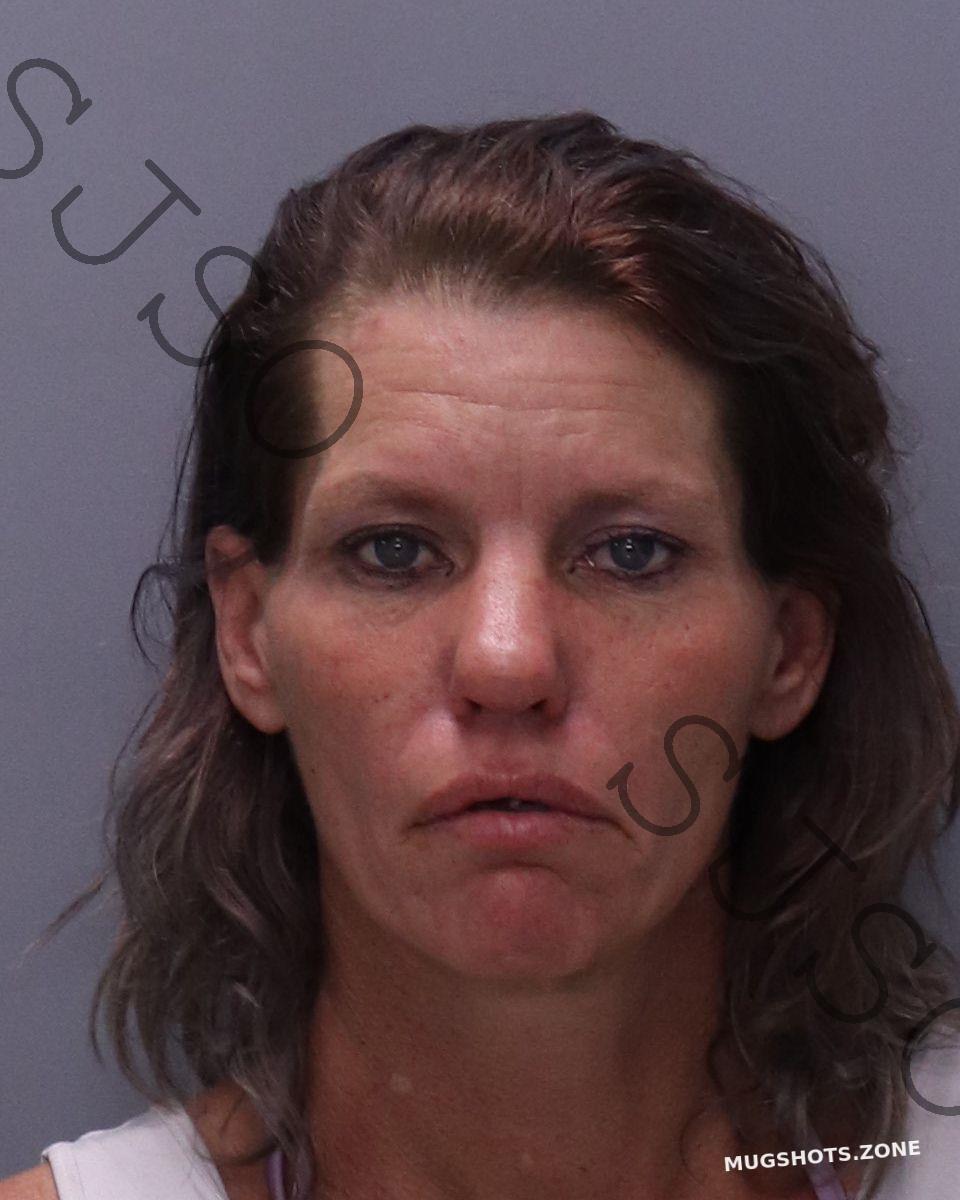 Erskine Bridgette Lee St Johns County Mugshots Zone