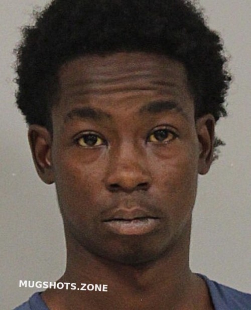 NEWELL RICHARD KARL 11/26/2023 St. Lucie County Mugshots Zone