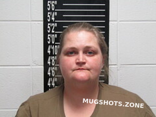 Tephanie Diane Stewart 04 08 2022 - Stone County Mugshots Zone