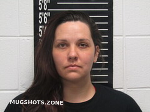 Sarah Beth Collins 04102023 Stone County Mugshots Zone 7469