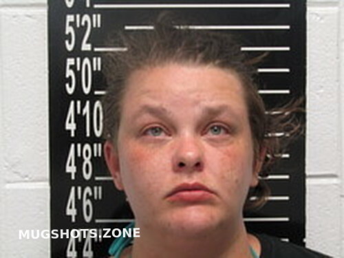 Brittney Nicole Birdsong 05 08 2023 - Stone County Mugshots Zone