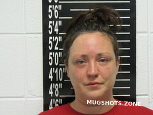 JESSICA ELIZABETH CARTER 08/16/2023 - Stone County Mugshots Zone