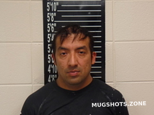 GERMAN ALEXANDER CRUZ-SORTO 03/21/2025 - Stone County Mugshots Zone