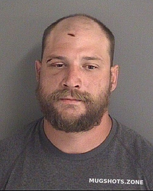 LODESTEIN ANDREW ALVIN 09/06/2022 Story County Mugshots Zone