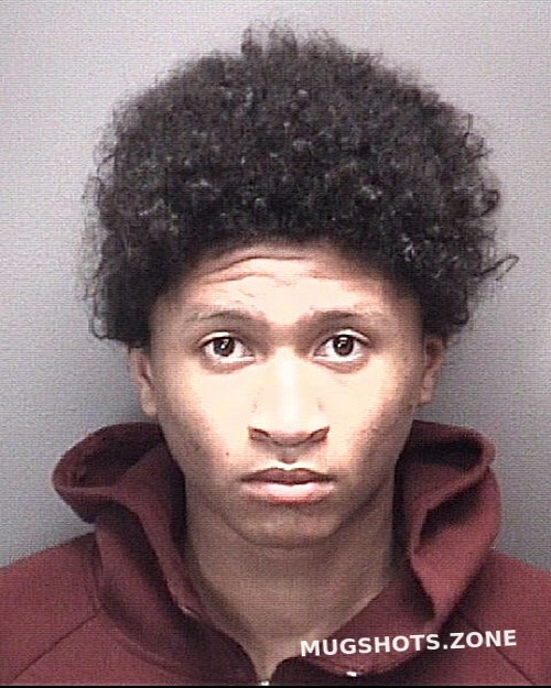 FILES JELIN 01/28/2022 Suffolk Mugshots Zone