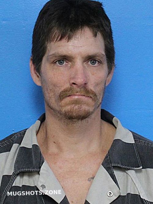 NELSON JOSH J 12/12/2024 Sullivan County Mugshots Zone