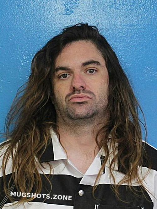 HENDERSON WILLIAM STEVENSON 03/28/2025 Sullivan County Mugshots Zone