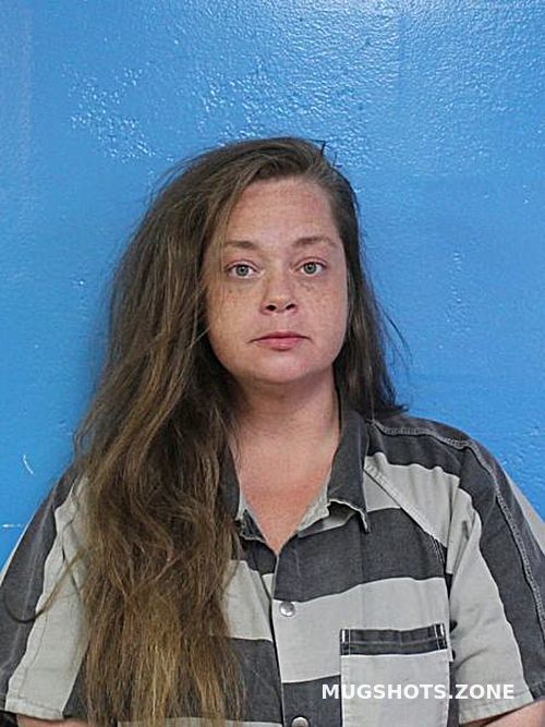 MCMILLIAN BRANDY NICOLE 04/11/2025 Sullivan County Mugshots Zone