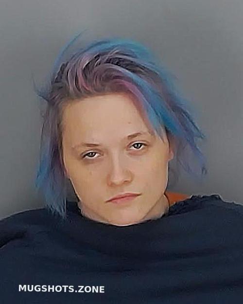 Ross Britney Nicole Summit County Mugshots Zone