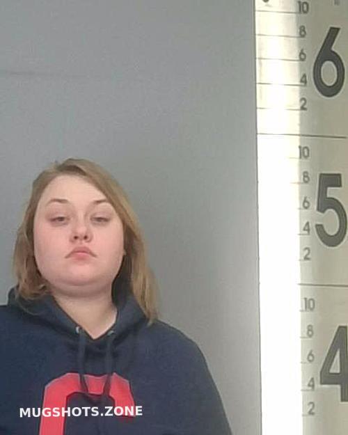 SHEEN JESSICA LYNN 02/10/2024 - Summit County Mugshots Zone