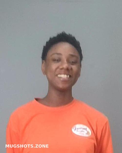 SMITH NAUDIA AYEISHA 03/30/2024 - Summit County Mugshots Zone