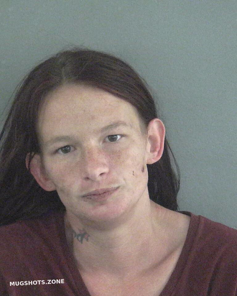 Sumter garden christmas tea s c