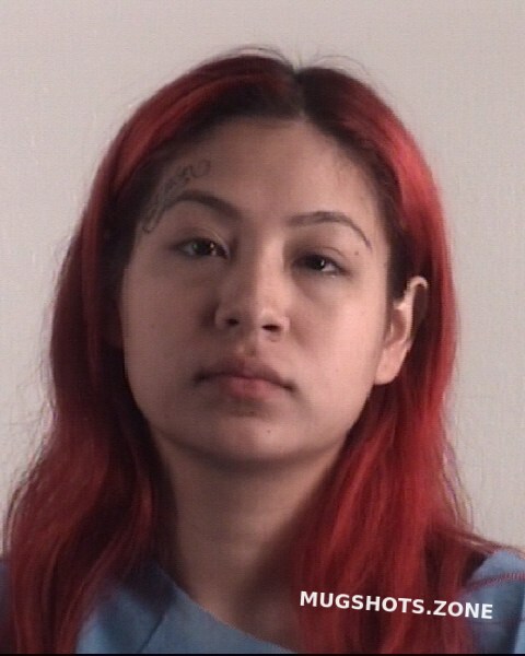 Sosa Michelle 08 05 2022 Tarrant County Mugshots Zone