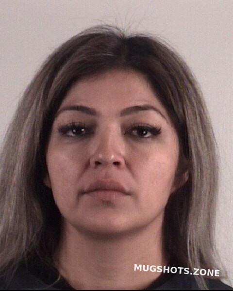 DOMINGUEZ LETICIA 09/10/2022 - Tarrant County Mugshots Zone