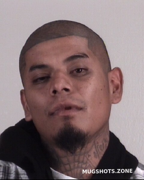 Salinas Sergio Omar 10 26 2022 - Tarrant County Mugshots Zone