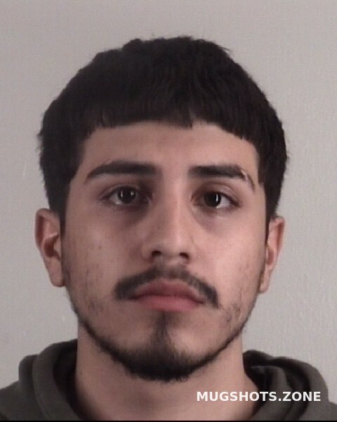 Delara Raymundo 04 14 2023 Tarrant County Mugshots Zone