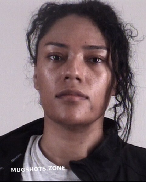 Johnson Erin Briana 04192023 Tarrant County Mugshots Zone 