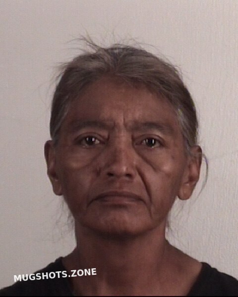 BARRON ROSA ANA 07/17/2023 - Tarrant County Mugshots Zone