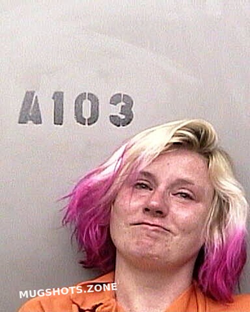 Nettles Hanna Lynn 02 17 2023 Taylor County Mugshots Zone