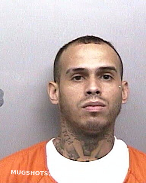 Guitterrez Fernandez Dennes 08 09 2023 Taylor County Mugshots Zone