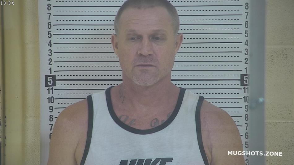 HAYDEN RONALD D JR. 08/16/2022 Taylor County Mugshots Zone