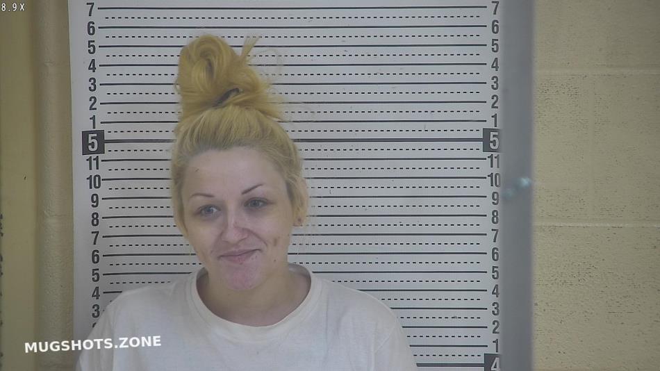 Hardin Dawn L 10 19 2022 - Taylor County Mugshots Zone