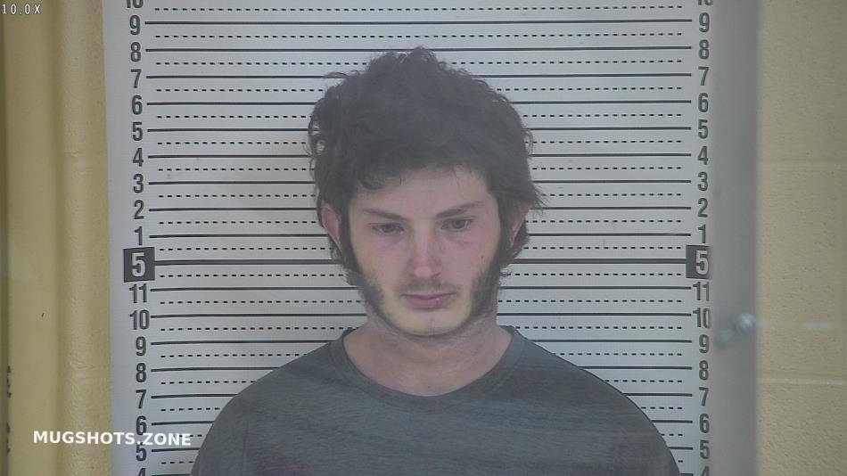 PRITCHARD LOGAN E 03 19 2023 Taylor County Mugshots Zone   XZstKWr8BYEKN8AdspVE 