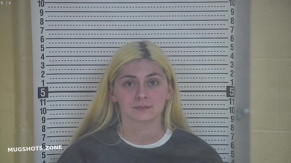 YORK HALEY 04/28/2023 Taylor County Mugshots Zone