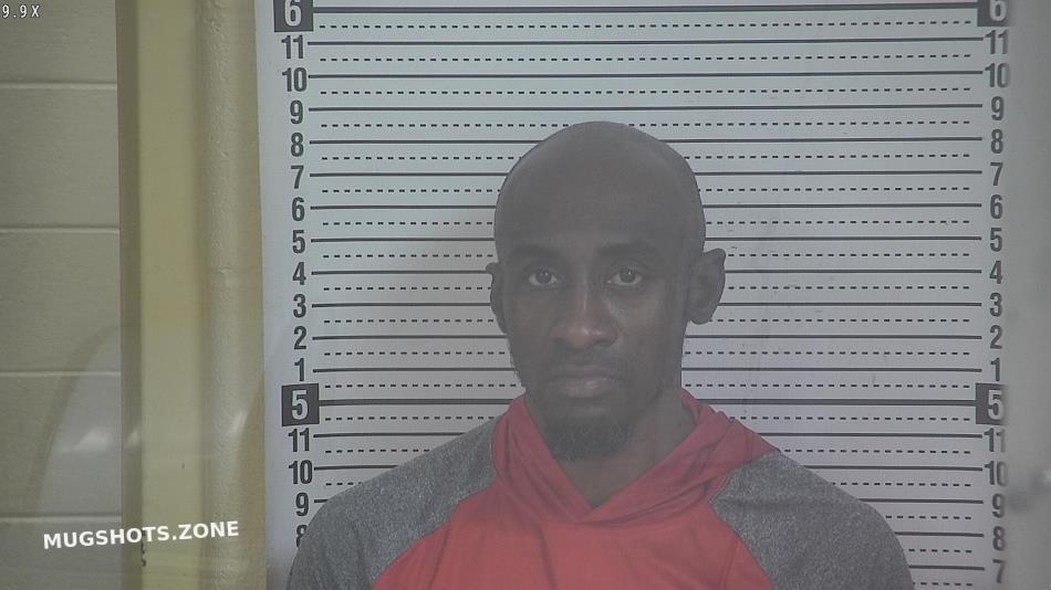 RICHARDSON JERMARCUS WAYNE 02/11/2025 Taylor County Mugshots Zone