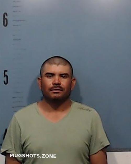 RODRIGUEZPALACIO REFUGIO 04/26/2021 Taylor County Mugshots Zone