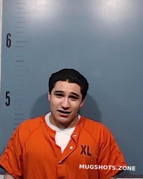 RANGEL NICHOLAS ALEXANDER 08/10/2021 - Taylor County Mugshots Zone