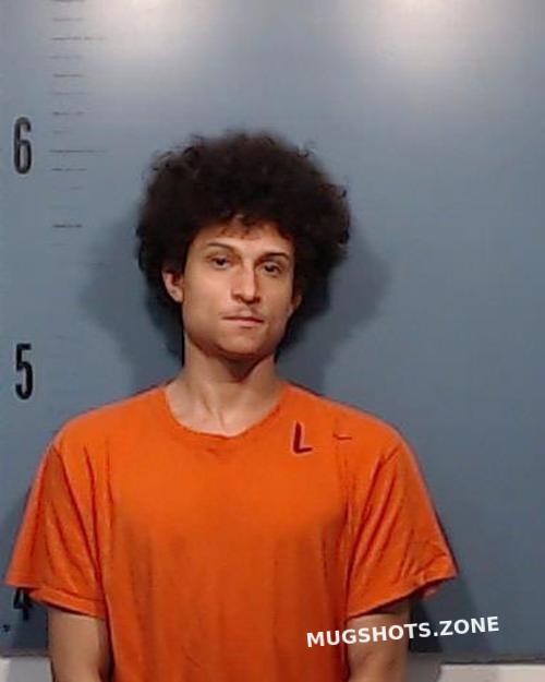 DOCKINS LEKENDRICK RYNE 11/14/2021 Taylor County Mugshots Zone