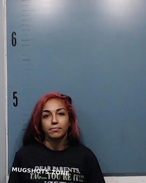 Castaneda Antonia Adelita 08262022 Taylor County Mugshots Zone 