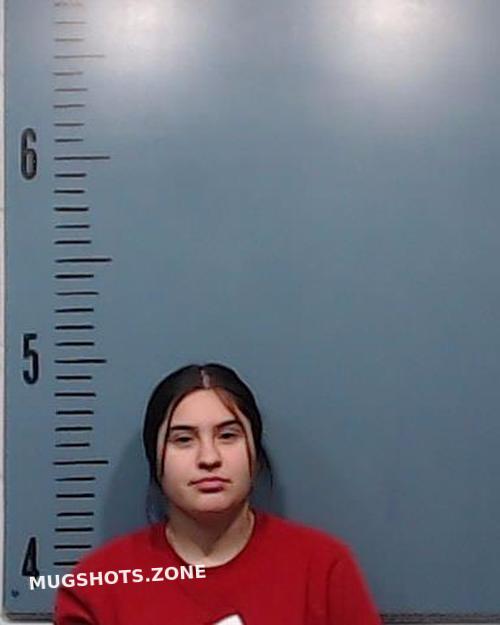 Herrera Ariana 10 14 2022 Taylor County Mugshots Zone