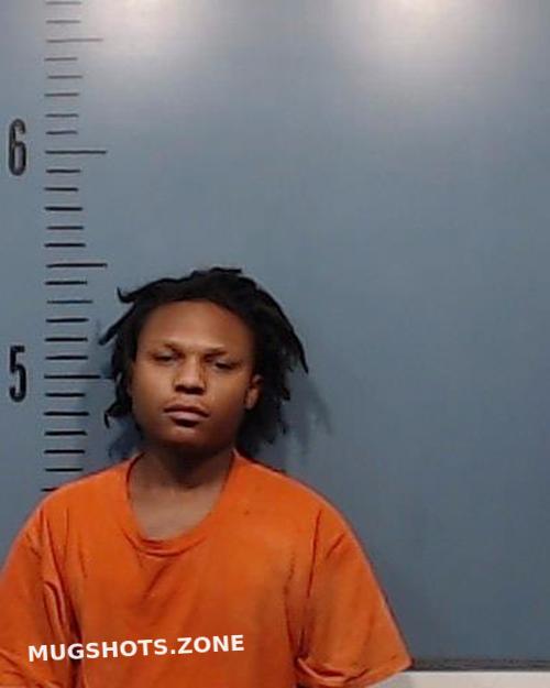MCBRIDE TERRIAN ANTHONY WAYNE 12/30/2022 Taylor County Mugshots Zone